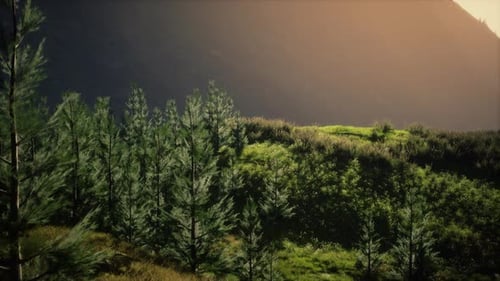 Autumn Morning with Fog in Mountains