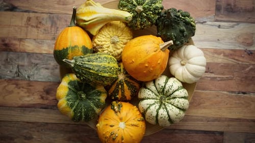 Ornamental Gourds Displayed On A Wooden Background
