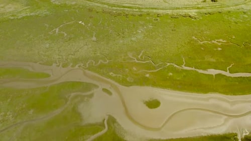 Abstract aerial view of wetlands river Landscape in The Netherlands.