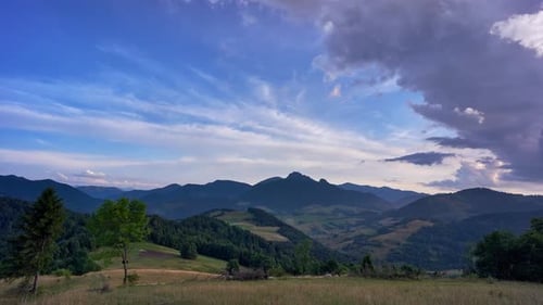 Schafe grasen auf Graswiesen in wunderschöner Berglandschaft