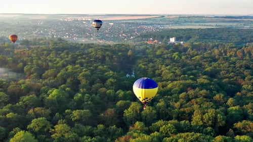 Multicolored balloons fly over trees. Nice top view of the park, forest covered with greenery.