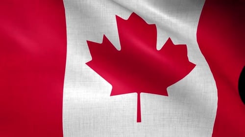 Realistic Waving Canadian Flag Seamless Loop Animation