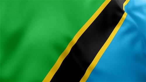 Realistic Waving Tanzania Flag Seamless Loop