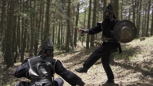 Medieval Warriors Engaged in Sword Fight in Forest