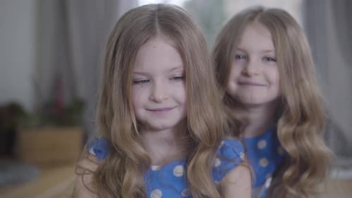 Close-up of Little Cute Brunette Caucasian Girl with Grey Eyes Looking at Camera As Her Twin Sister