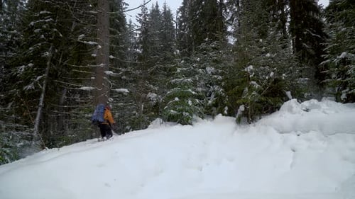Backpacker Hiking in Winter Forest