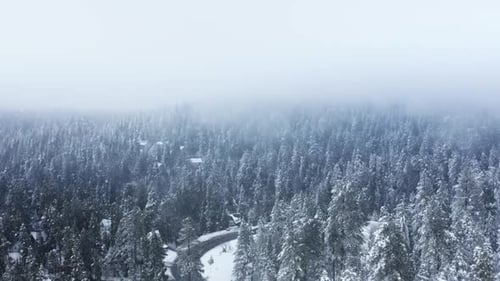 Overhead Drone Flying Through Heavy Snow Storm in Winter Mountain Landscape