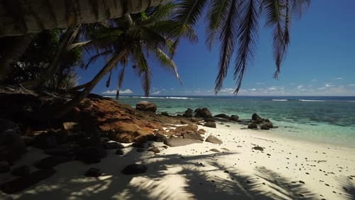 Shady Quiet Beach