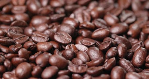 Roasted Coffee Beans Close Up Panning View