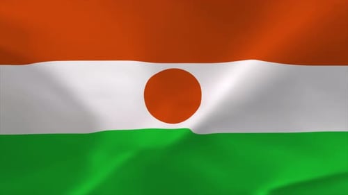 Waving Flag of Niger Animation Loop
