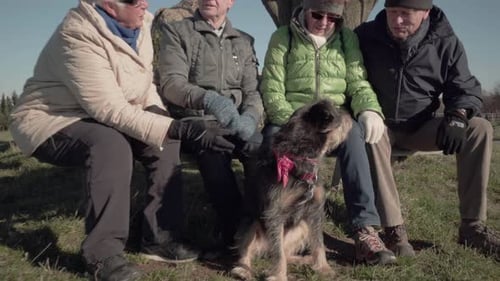 Dog With Four Seniors Making a Pause From Walk Outdoors