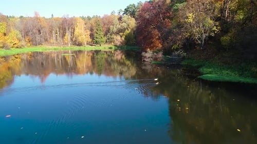 Buntes Herbstwald-Holz auf dem See