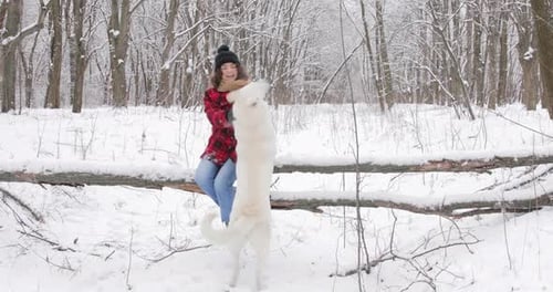 Woman and Dog Playing in Snowy Winter Forest