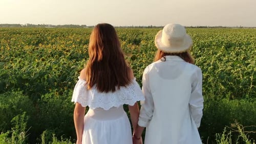 Aerial View of a Field of Blooming Sunflowers Next to Which Two Young Ladies in White Dresses Stand