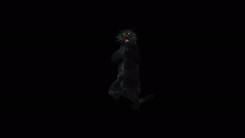 Aggressive Black Panther Roaring 3D Animation
