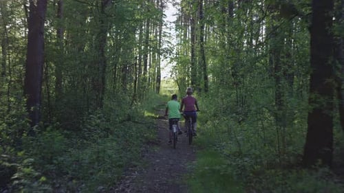 The Family Rides Bicycles Through the Woods Together