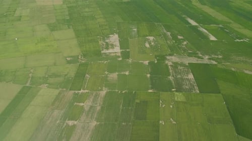 Landscape Rice Terrace Field