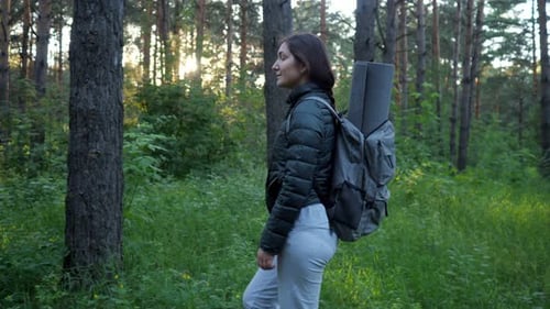 Woman with a Backpack and a Jacket Walks Through the Coniferous Forest