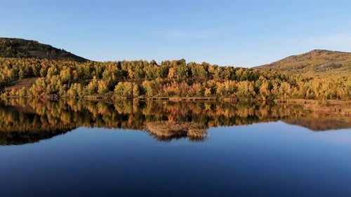 Lake and autumn forest