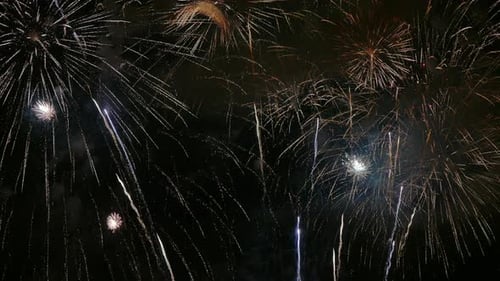 Colorful Firework display at night on sky background