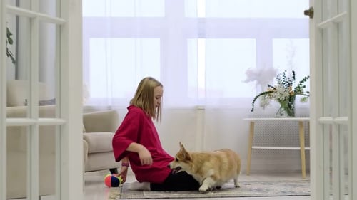 Girl Hugging her Corgi Dog in Sunny Home