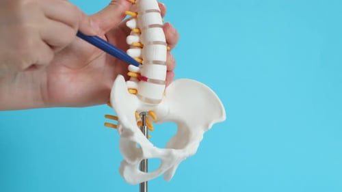 Intervertebral Hernia of the Cervical Spine Rupture of the Fibrous Ring