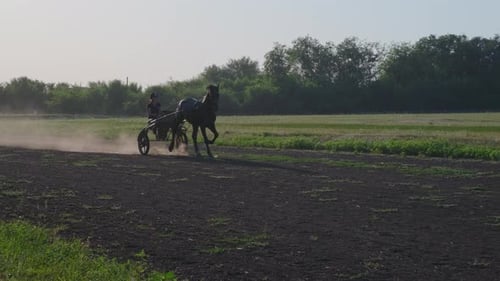 Horse and Sulky Trotting on Track