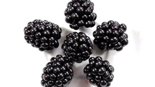 Fresh Ripe Blackberries Rotating on White Background