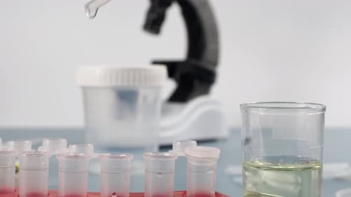 Die Probe wird in ein Reagenzglas pipettiert.