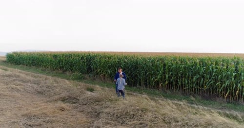 Young Farmers Discussing At Maize Field Agriculture