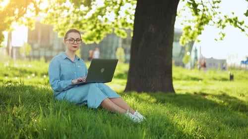 Busy Attractive Woman Working at the Laptop As Sitting on Grass in City Park at Sunset