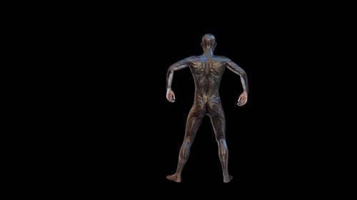 Alien Art Music Performance