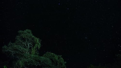 Star In Night Sky