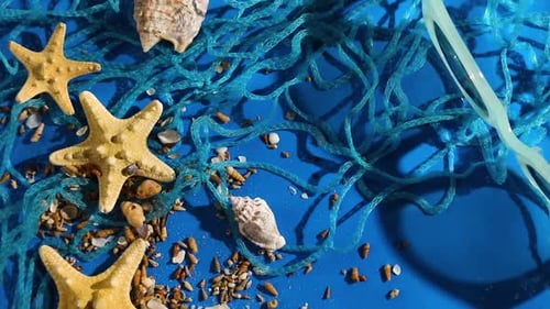 Flache Lage des Wasserwellenhintergrunds mit Seesternen, Muscheln auf blauem Wasser Textur