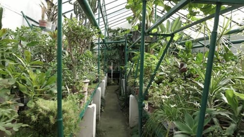 Greenhouse