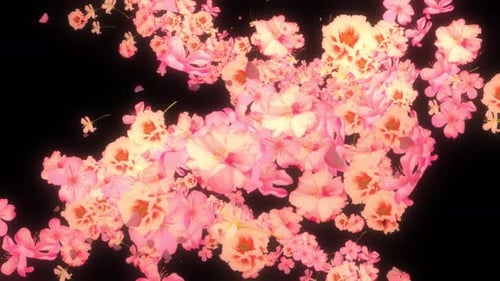 Floating Pink Cherry Blossom Flowers Background