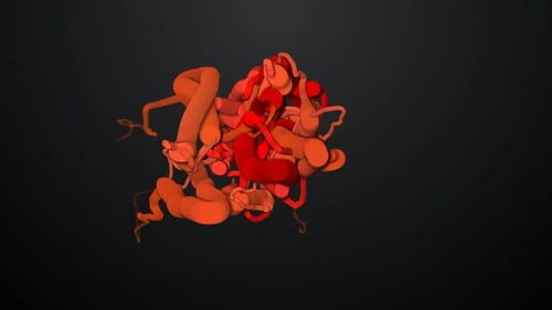Dynamic Fluid Organic Network Growth Animation