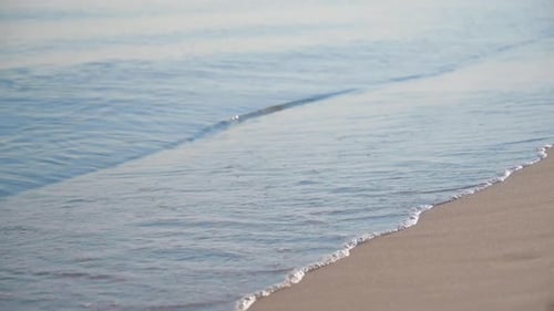 Female Feet Wear Sneakers Runs