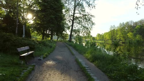 Aerial Drone View Flight Over Park Dirt Path Benches Green Bushes Grass
