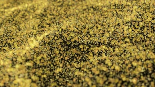 Gold Particle Waves