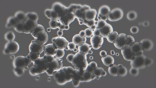 Fluid Animation of Microscopic Cells and Microorganisms