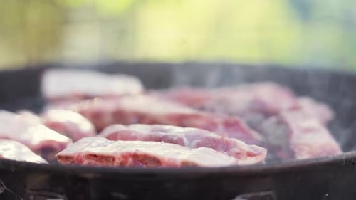 Zeitlupen-Push-In beim Grillen von Fleisch auf dem feurigen und rauchigen BBQ-Grill