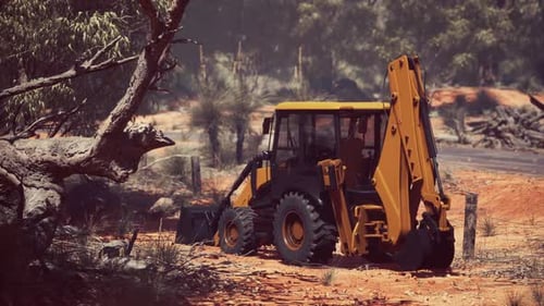 Tractor excavador en Bush Forest