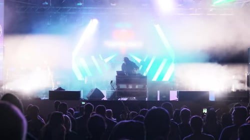 Silhouettes of Crowd of Fans at Rock Concert Near the Stage. Slow Motion