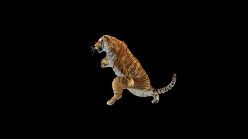 Tiger-Tanz HD