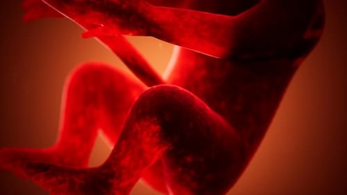 Animation médicale 3D d'un foetus humain