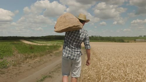 Back view on the Caucasian farmer in the hat carrying a sack full of grain through the field