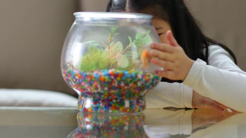 Girl Watching Goldfish in Colorful Home Aquarium