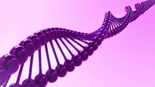 Loop Rotation Of A Molecule