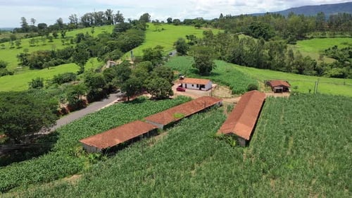 Picturesque Farmland Aerial View on a Sunny Day